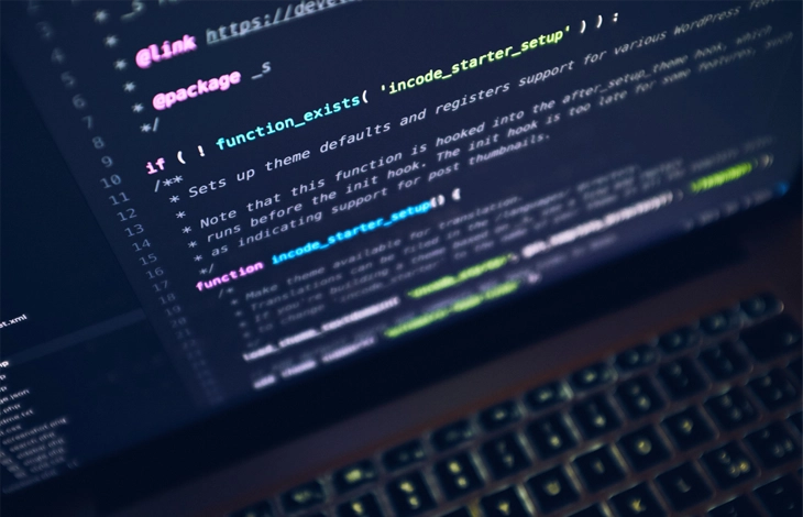 Website Development